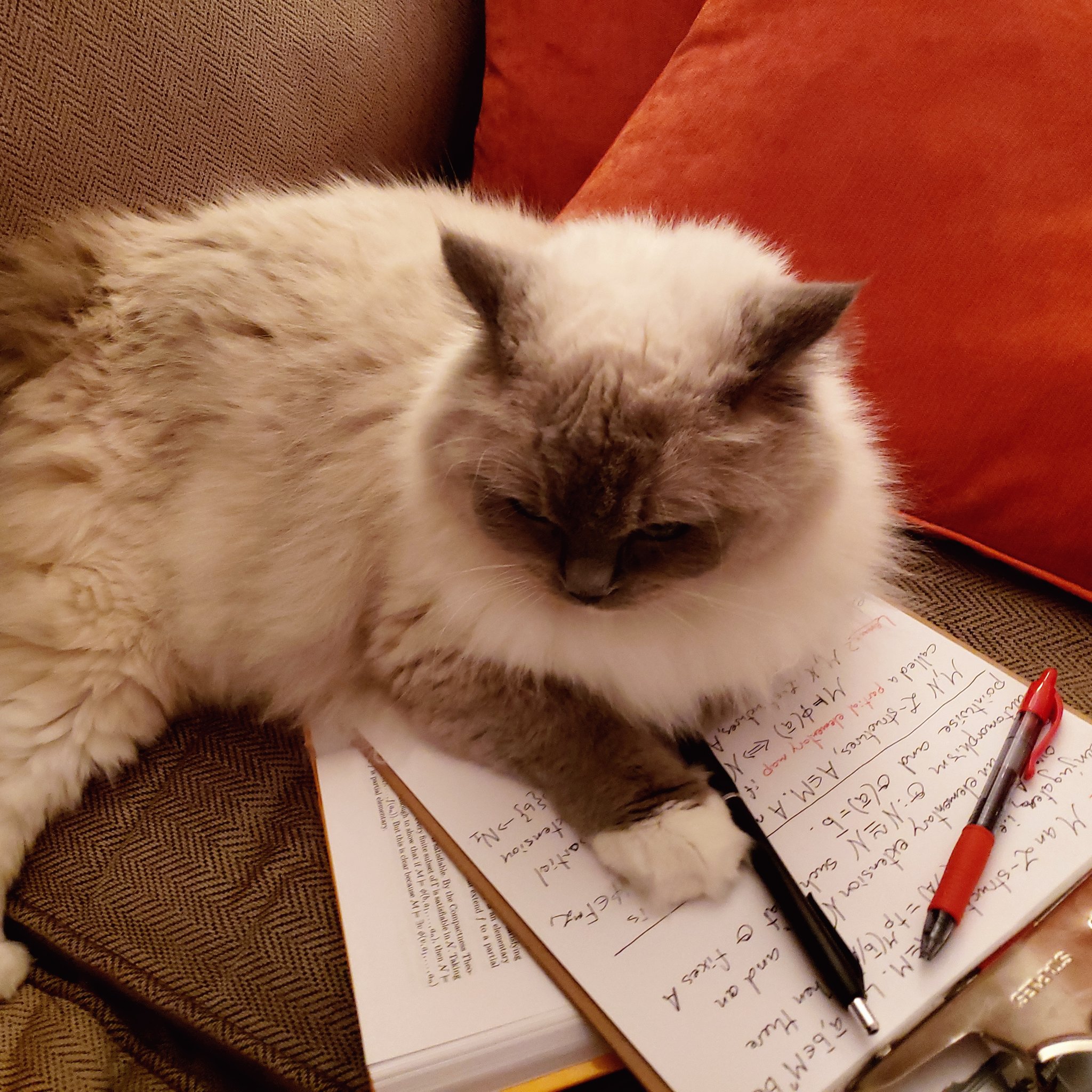 A cat laying on a book and notepad